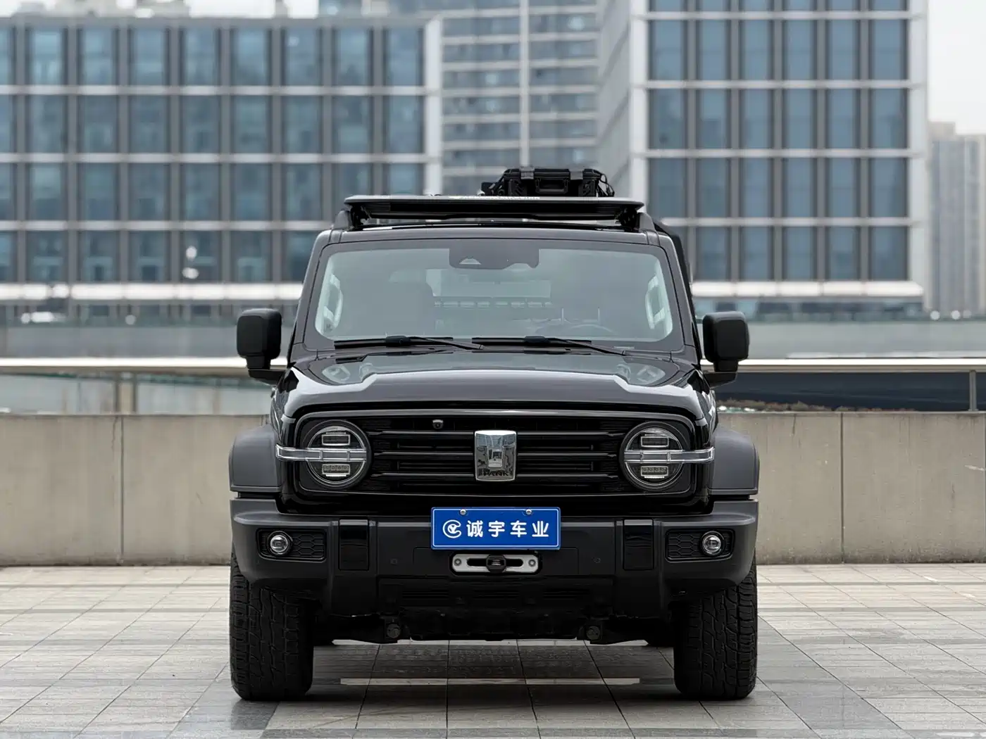 Tank 300 2021 Off-road Version 2.0T Conqueror фото 2