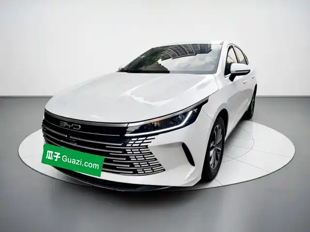 BYD Destroyer 05 2024
