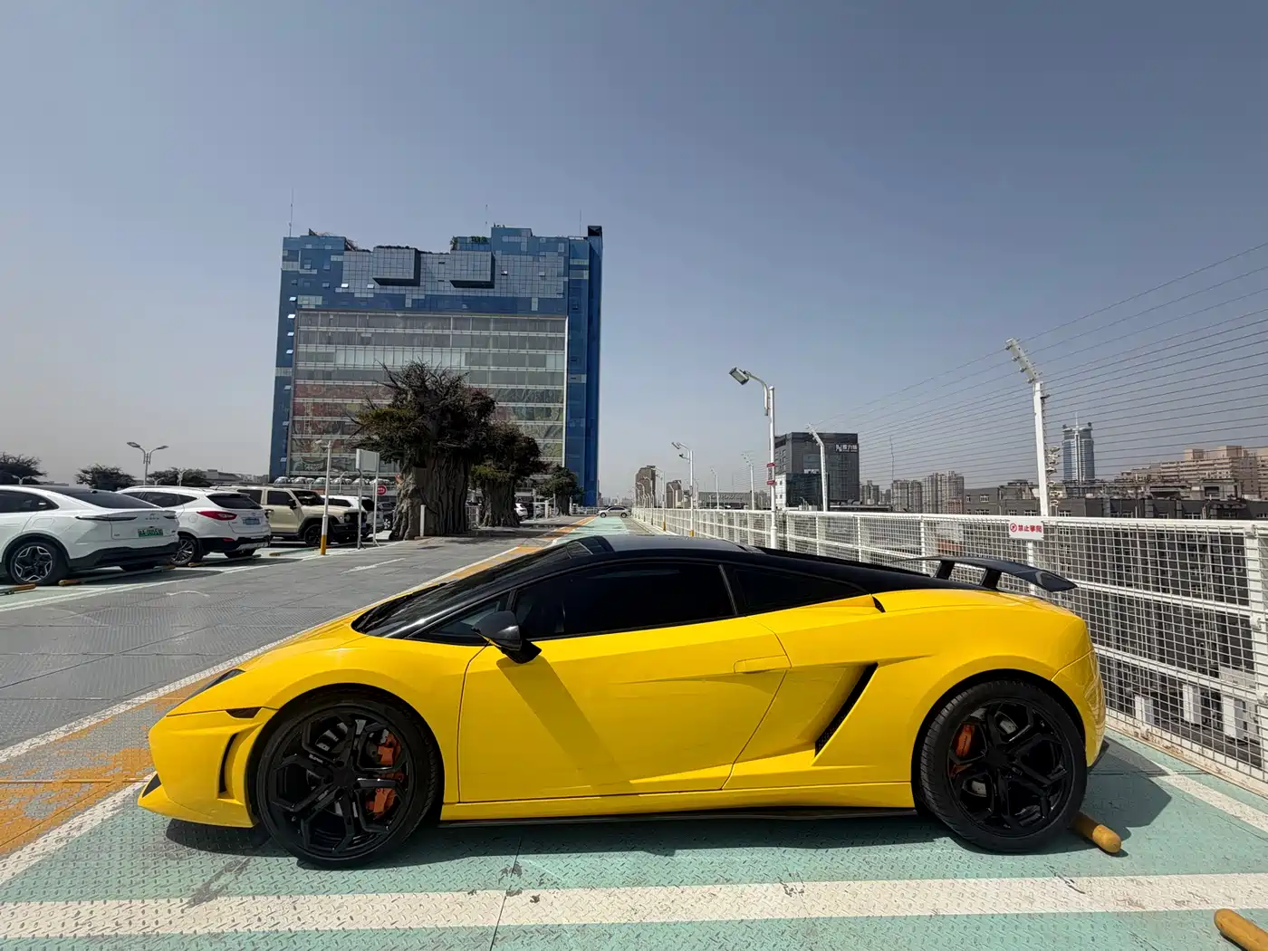 Lamborghini Gallardo 2011 Lamborghini Gallardo LP 560-4 Bicolore фото 7