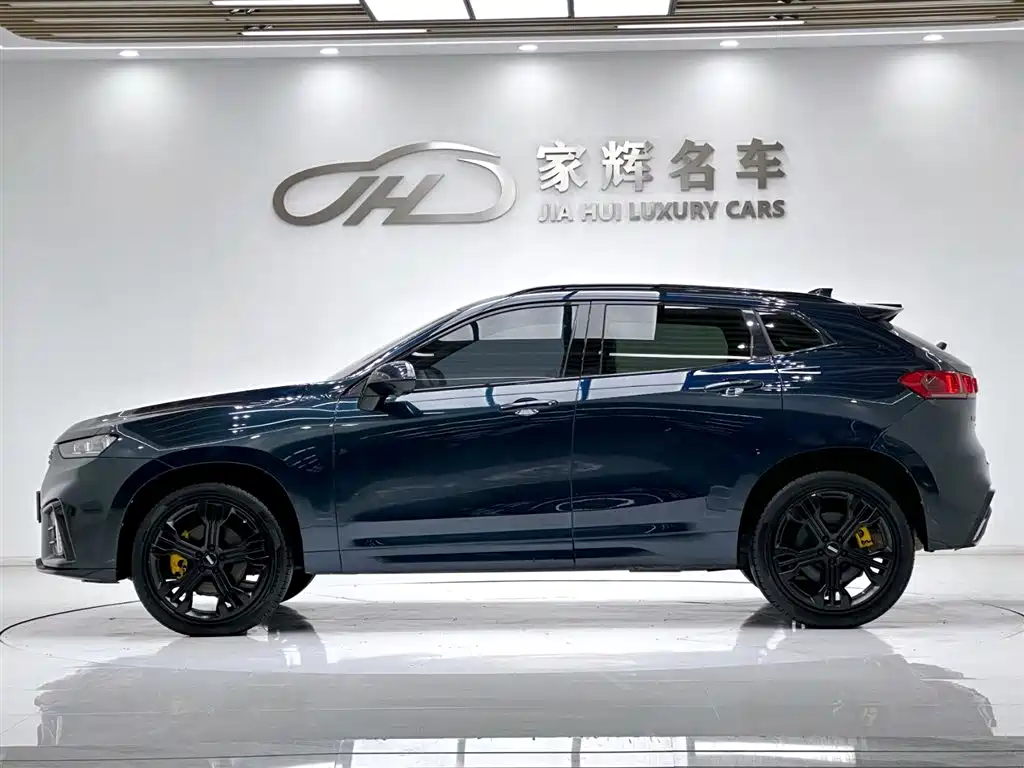 WEI PAI WEI BRAND VV7