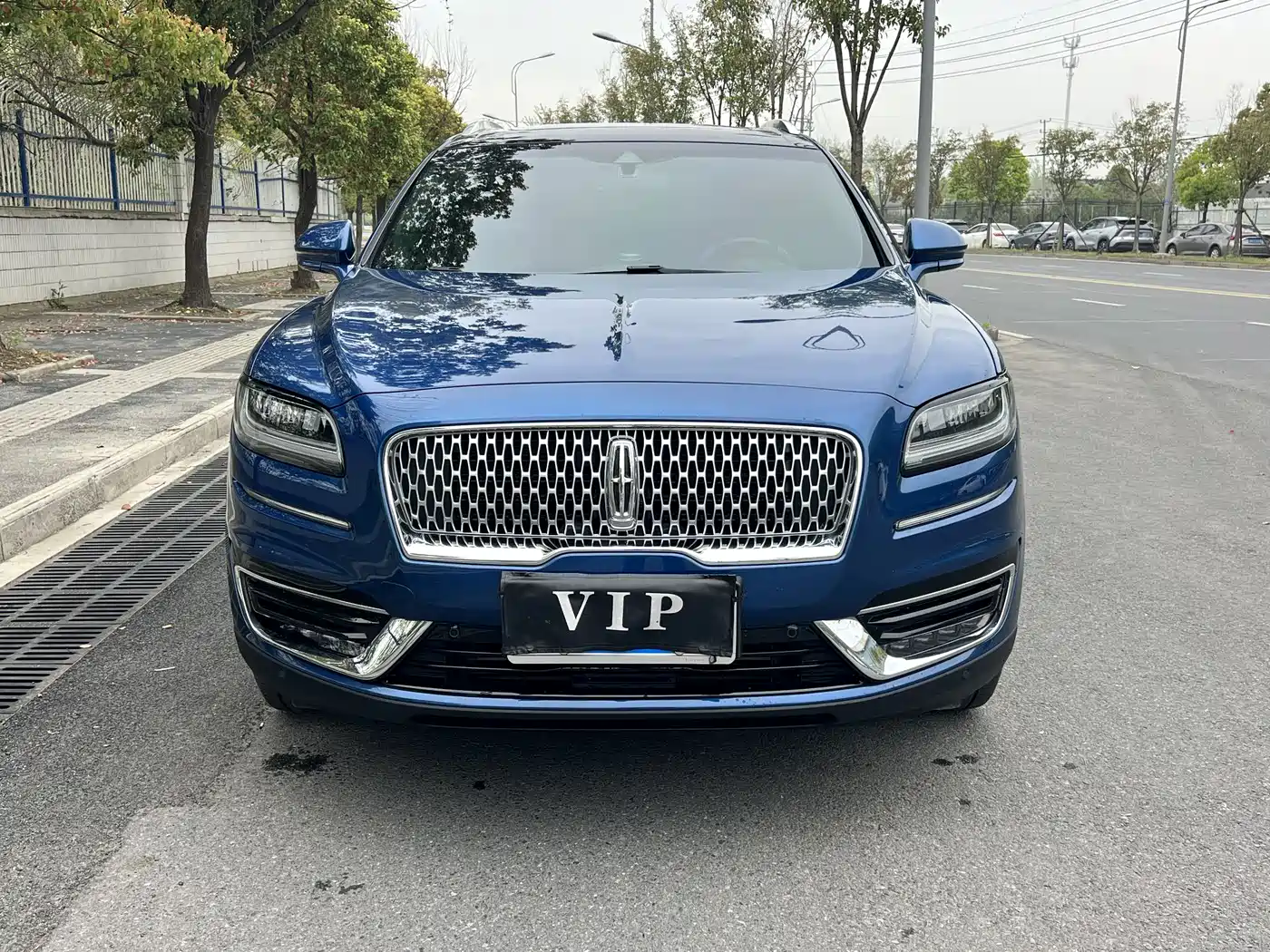 LINCOLN NAVIGATOR (IMPORT)