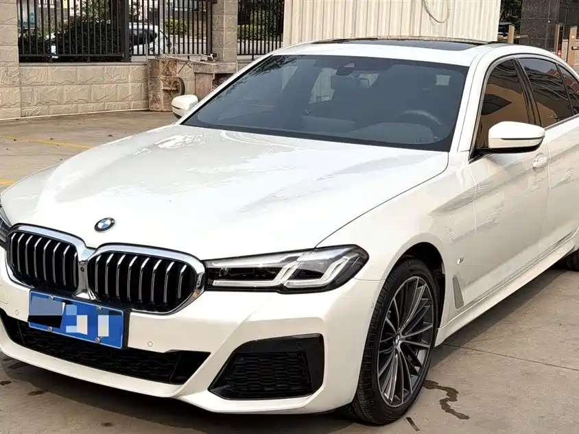 BMW 5 Series 2020 530Li Premium Luxury Package