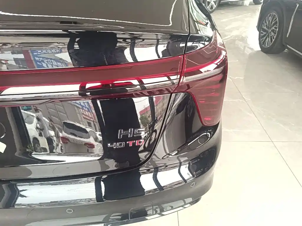 Hongqi H5 2025 2.0T Automatic Mystic Shadow 2 Million Edition фото 8