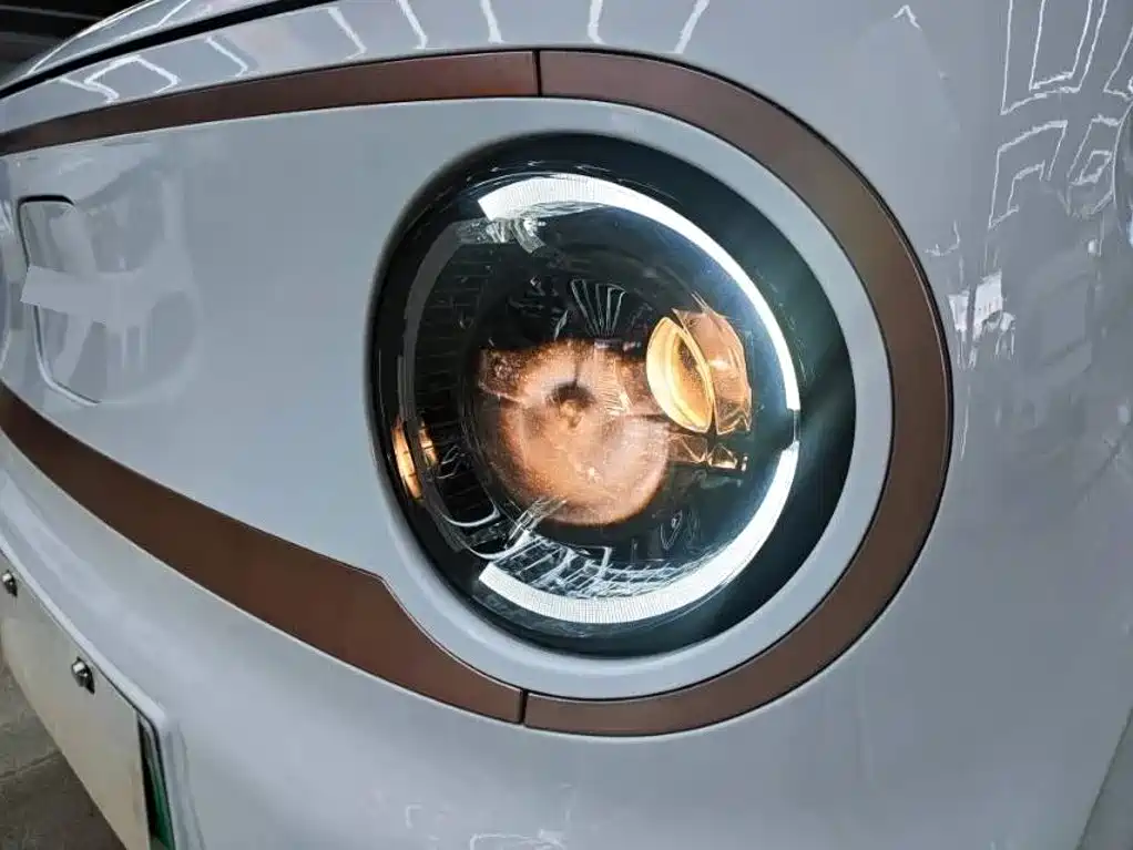 Geely Galaxy Panda 2023 2023 Panda Mini 200km Endurance Bear