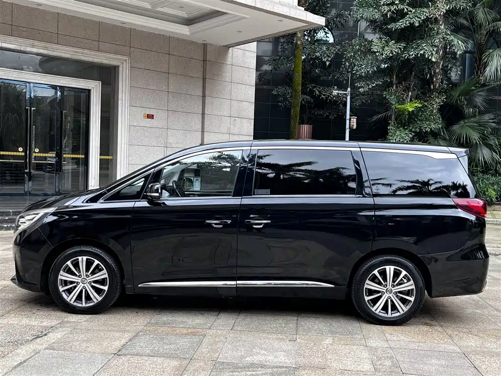 GAC Trumpchi Trumpchi M8 2018 320T Premium Edition фото 19