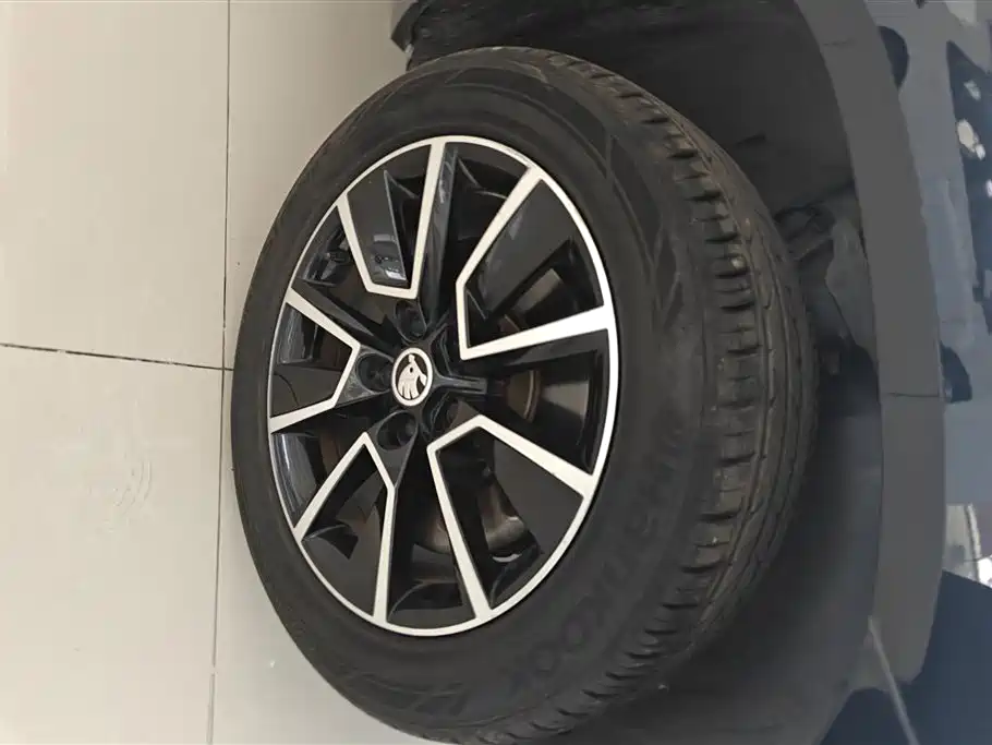 Škoda Karoq 2018 TSI280 Luxury Edition China V фото 6