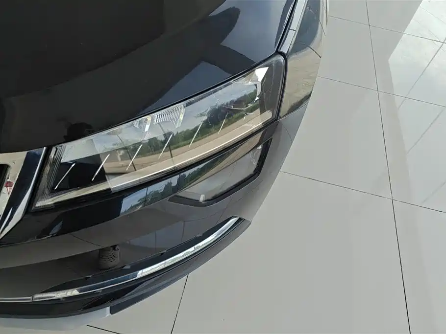 Škoda Karoq 2018 TSI280 Luxury Edition China V фото 5