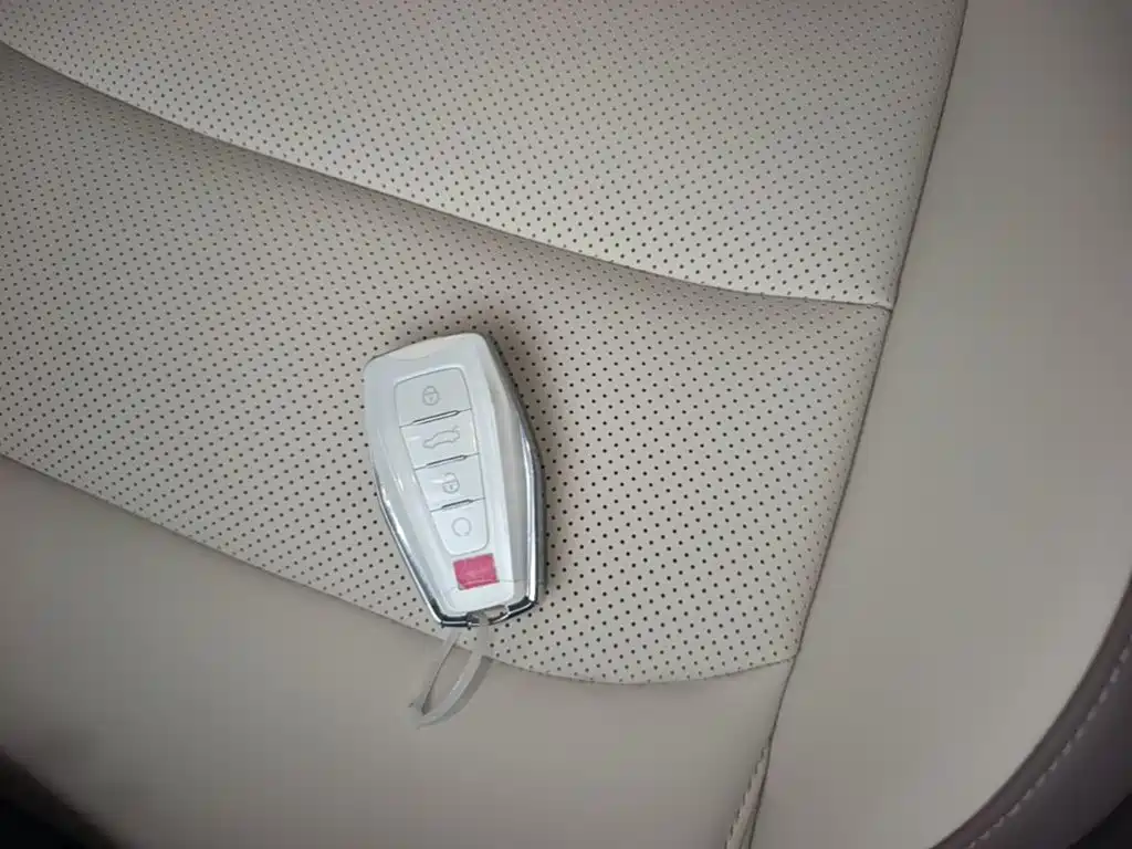 Фото 9 - Geely ICON