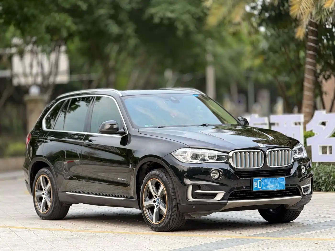 BMW X5 NEW ENERGY