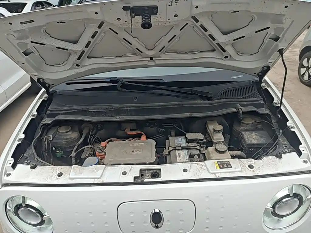 Ora Black Cat 2021 2021 301km Basic Model