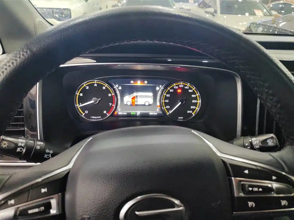 GAC Trumpchi Trumpchi M8 2021 Leading Show Series 390T Premium Edition фото 5