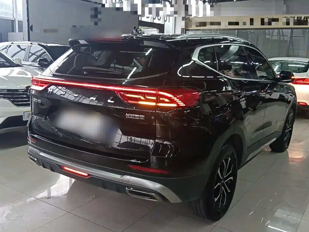 Haval H6 2023 National Trend Edition 1.5T Automatic Urban фото 7