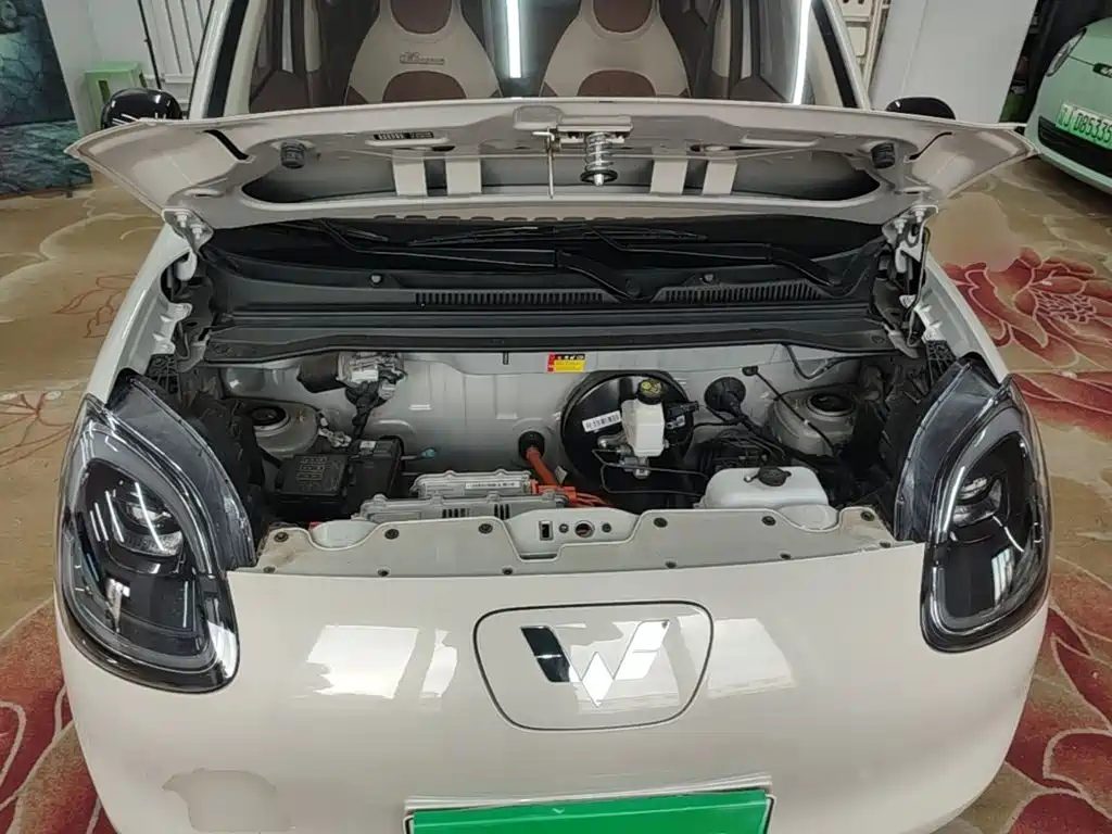 صورة 20 - Wuling Motors Hongguang MINIEV