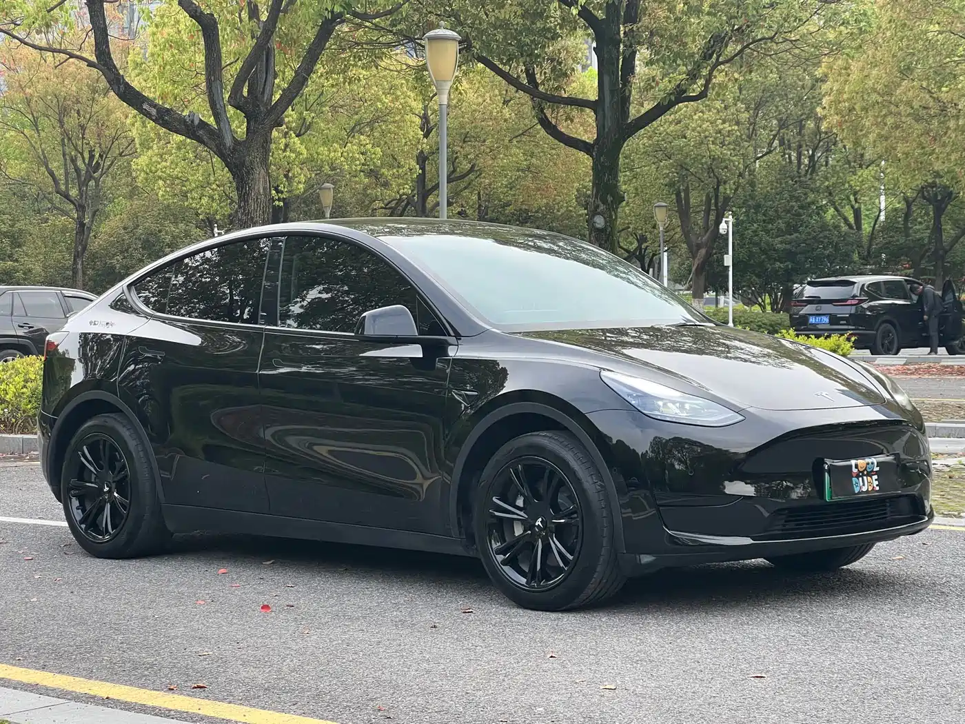 TESLA MODEL Y