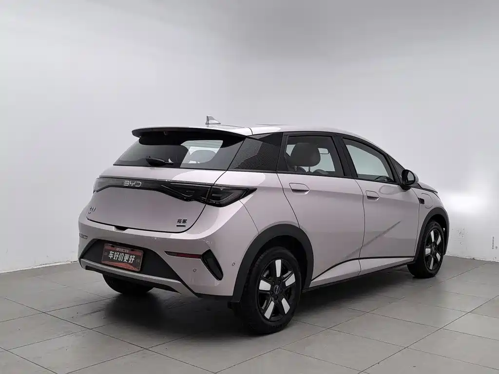 Фото 2 - BYD Dolphin