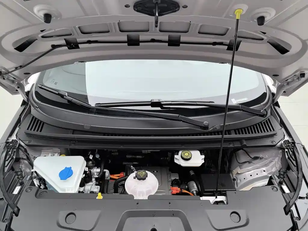 BYD Dolphin 2026 2025 Smart Drive Edition 410km Fashion Version