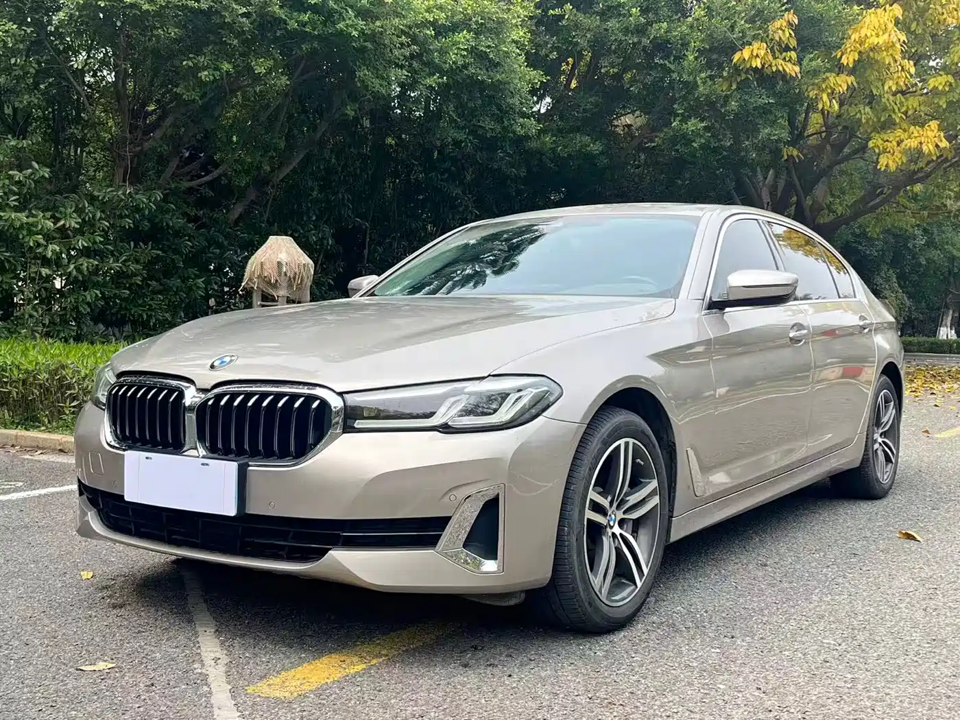 BMW 5 Series 2021 530Li Leading Luxury Package