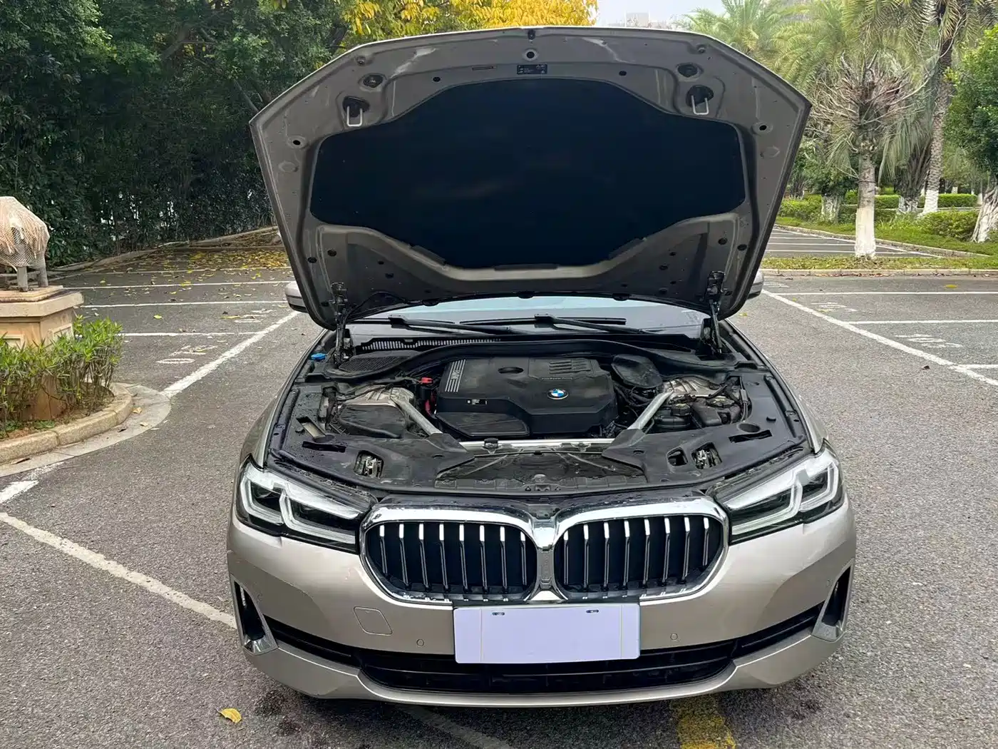 BMW 5 Series 2021 530Li Leading Luxury Package фото 12