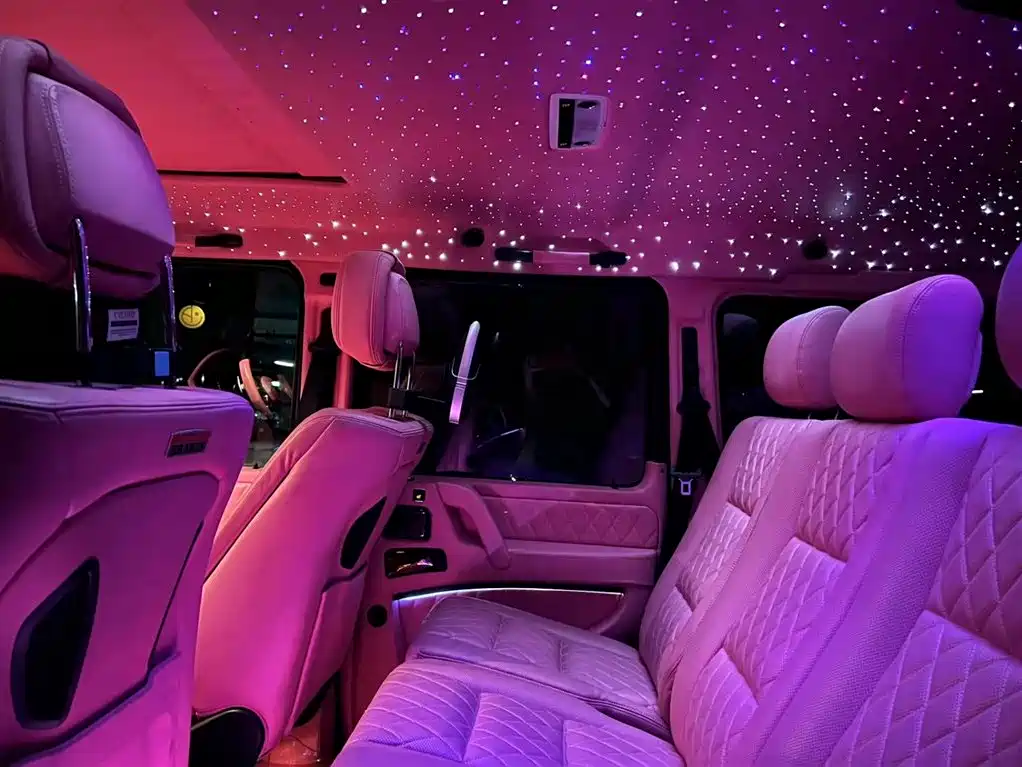 Mercedes-Benz G-Class 2015 G 500 Heavy Duty Edition фото 12