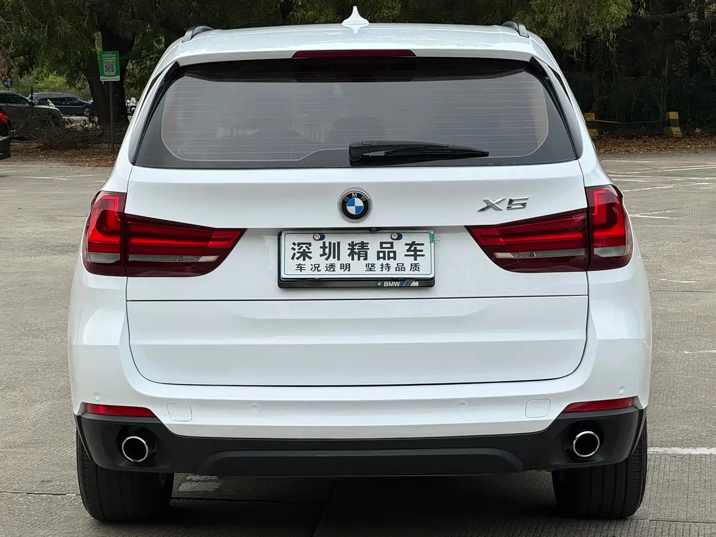 BMW X5 (Import) 2014 xDrive35i Elegance фото 5