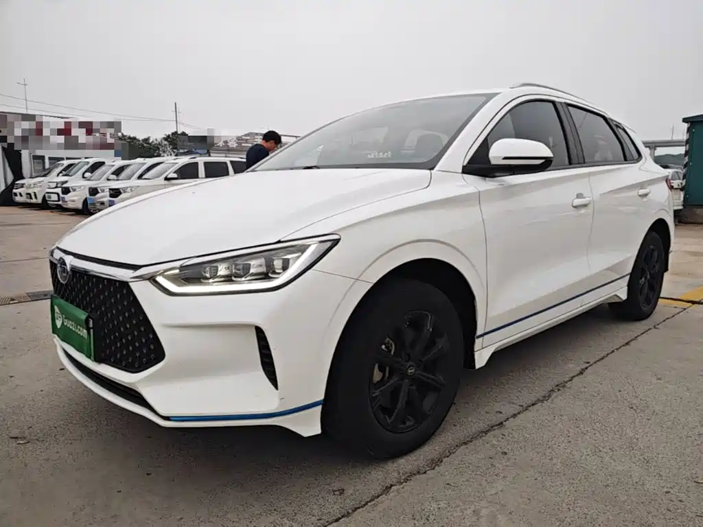 BYD e2 2021 2021 Luxury Edition