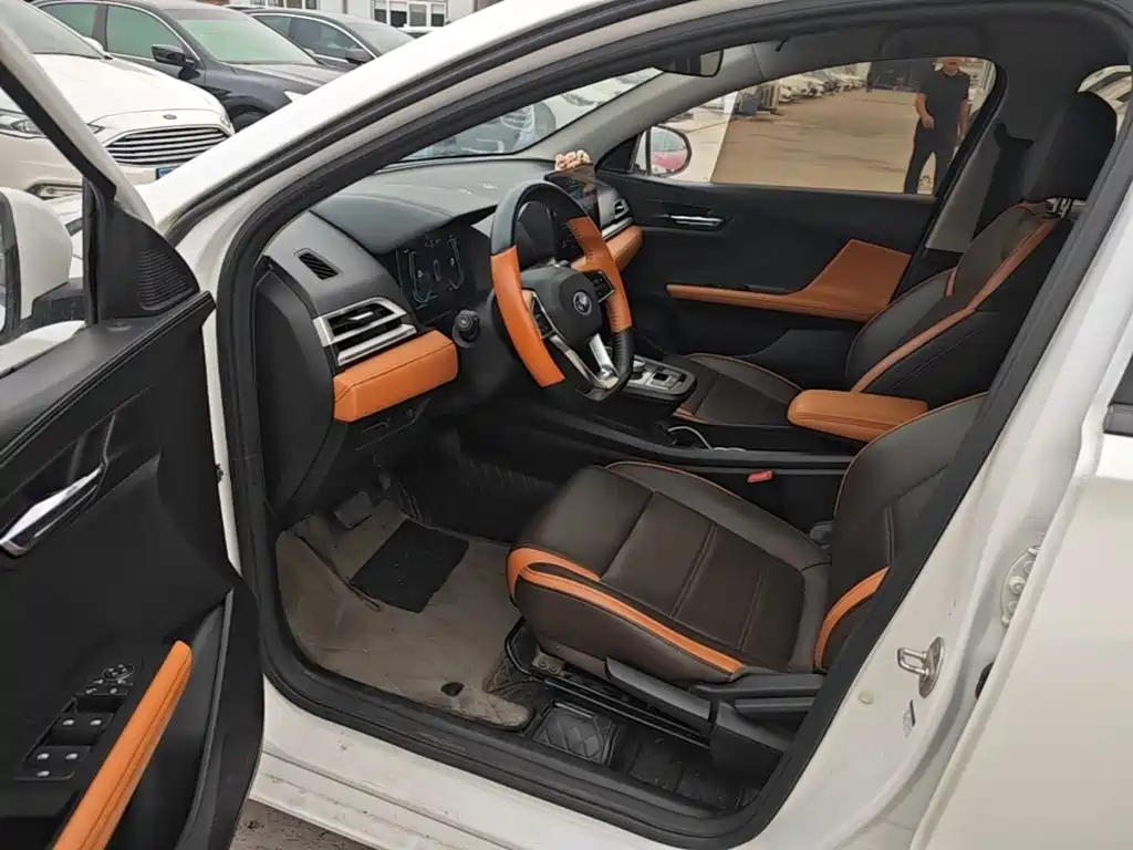 BYD e2 2021 2021 Luxury Edition