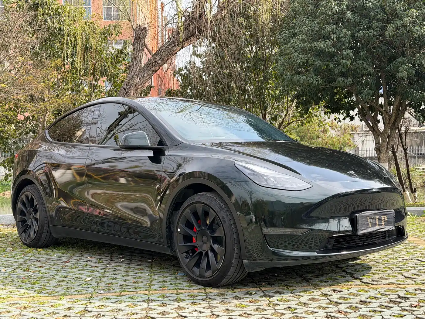 TESLA MODEL Y