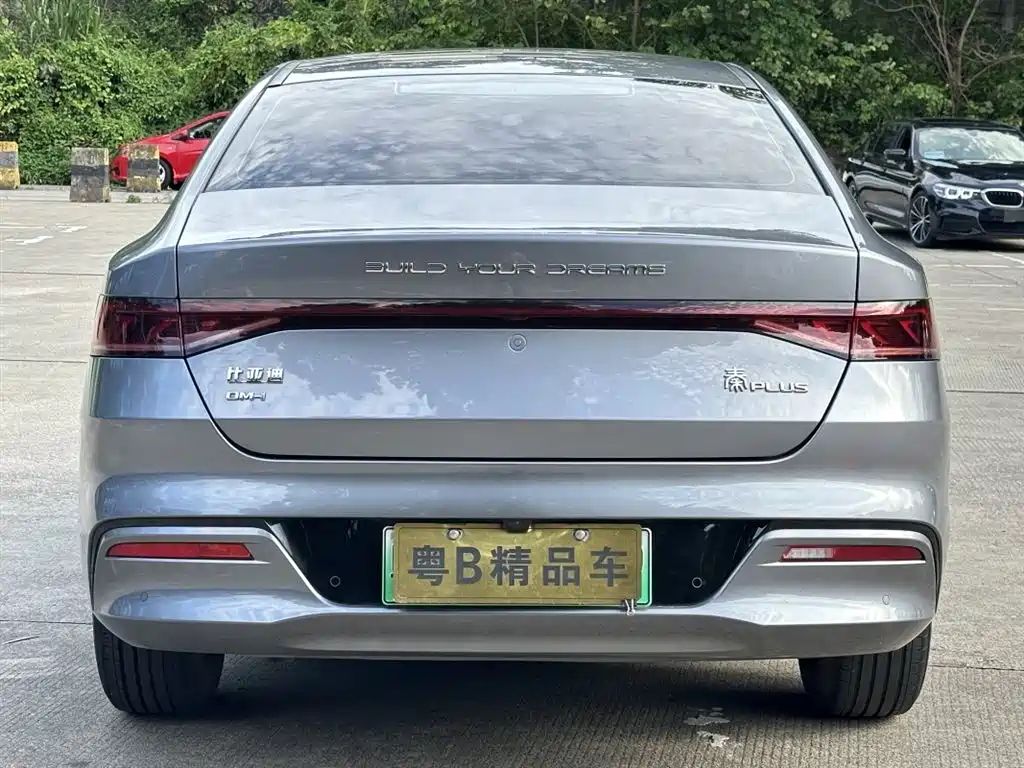 BYD Qin PLUS 2024 Glory Edition DM-i 55KM Leading фото 3