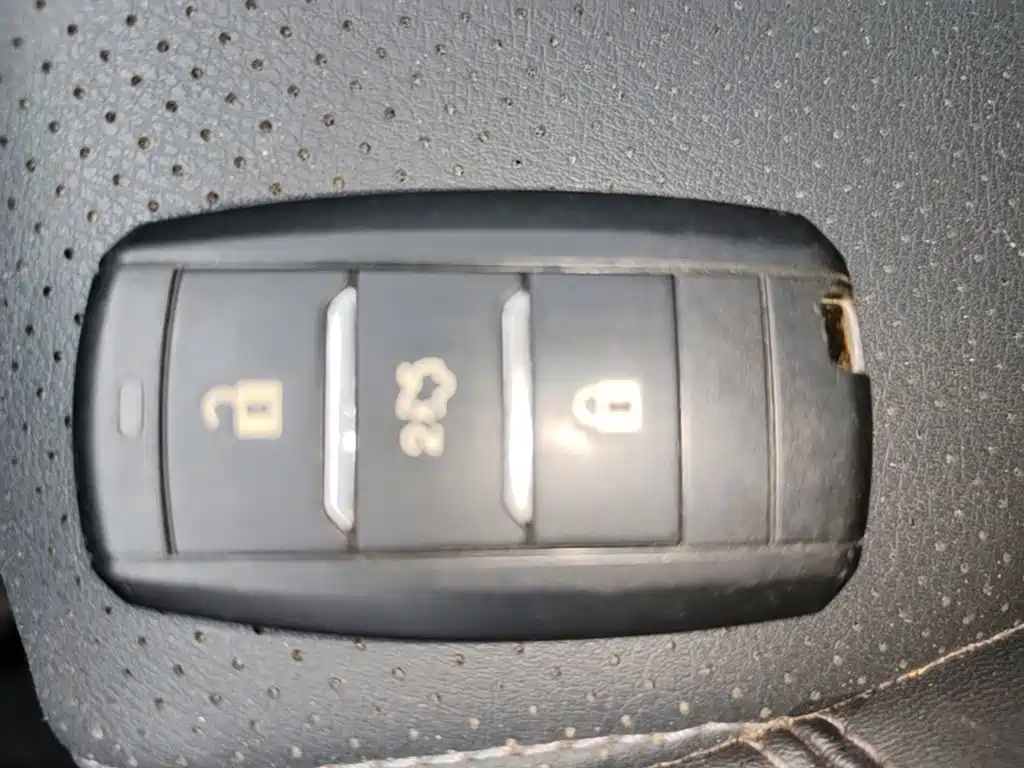 Changan Ruicheng CC 2021 2021 Blue Whale Edition 1.5T DCT Luxury