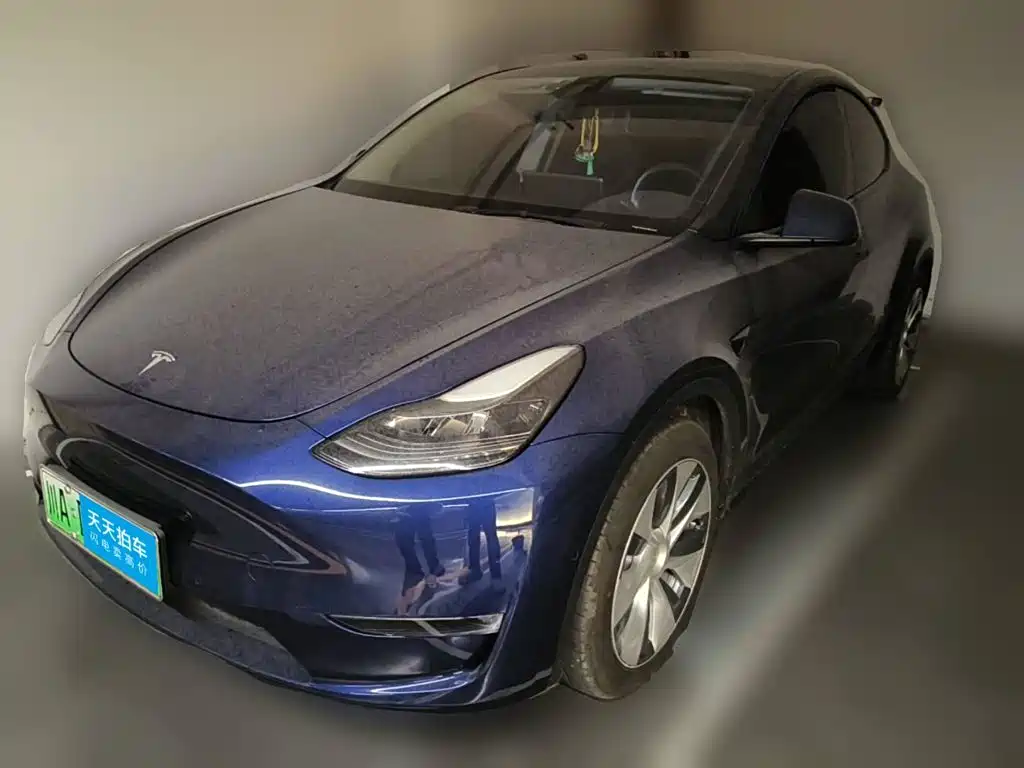 Tesla Model Y 2021 Standard Range Rear-Wheel Drive