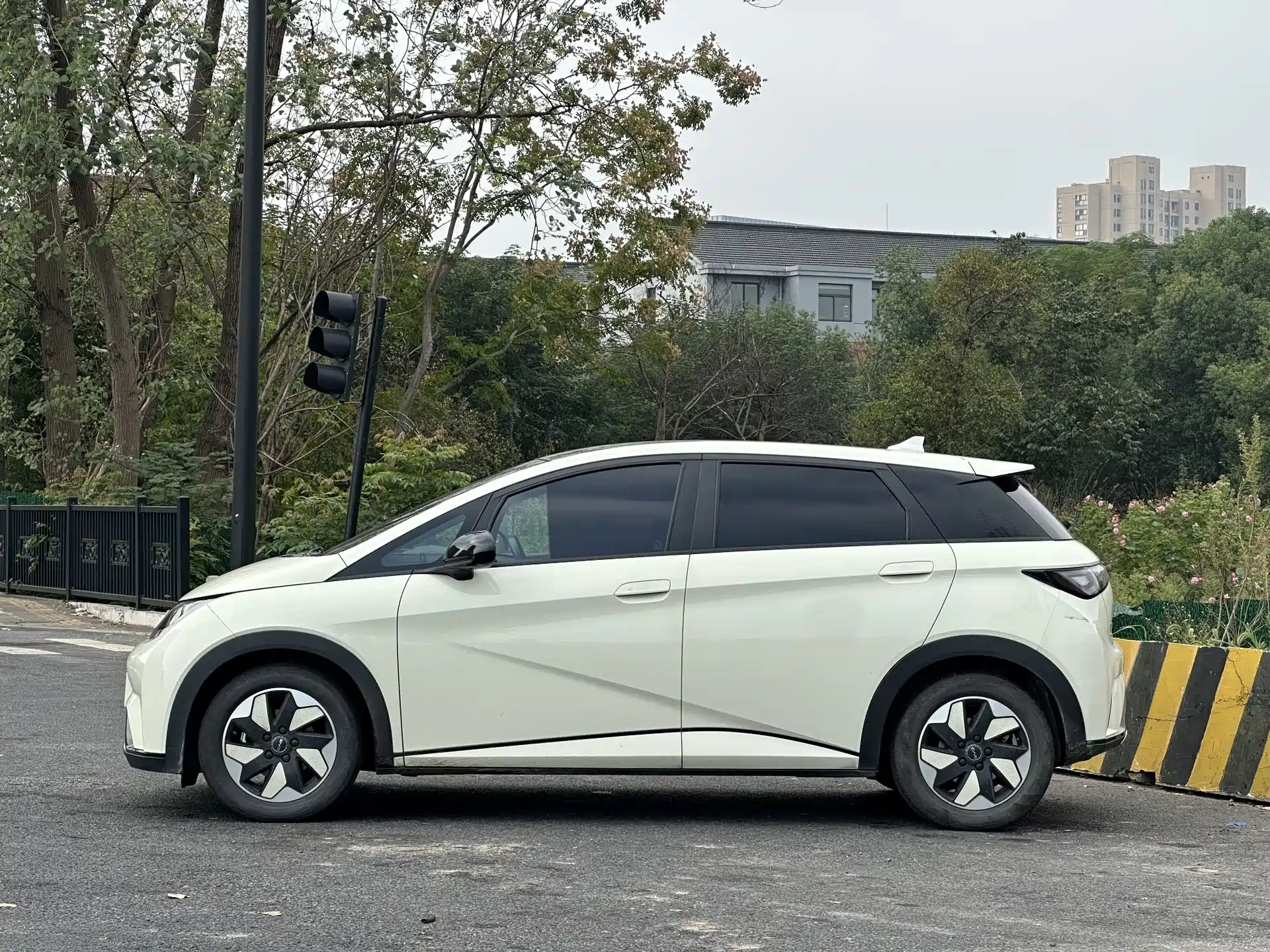 Фото 4 - BYD Dolphin