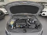 Photo 20 - Hyundai Lafesta