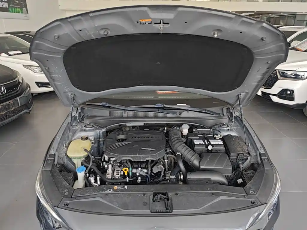 Photo 20 - Hyundai Lafesta