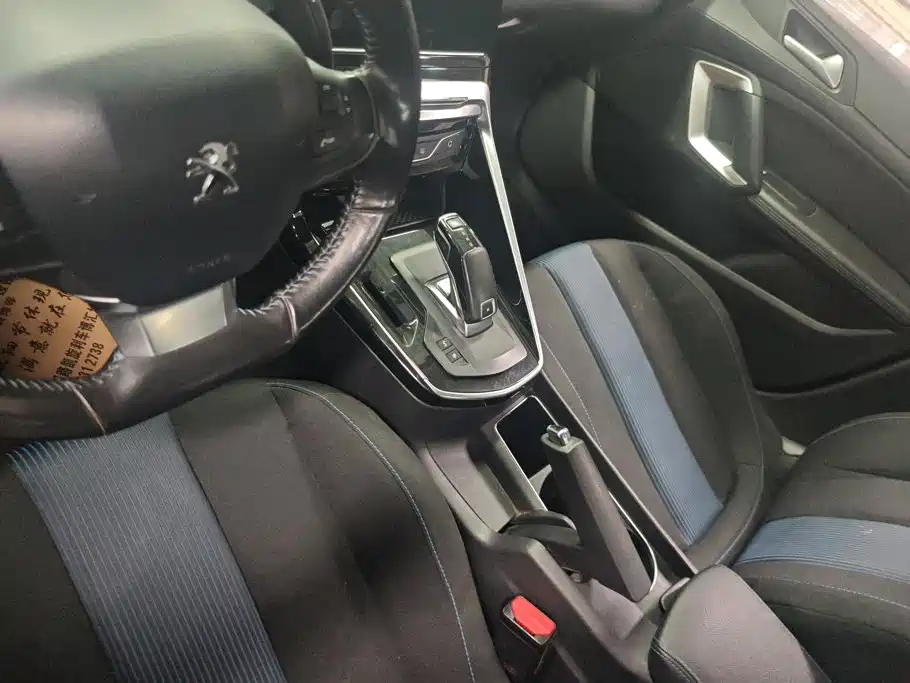 صورة 16 - Peugeot 308