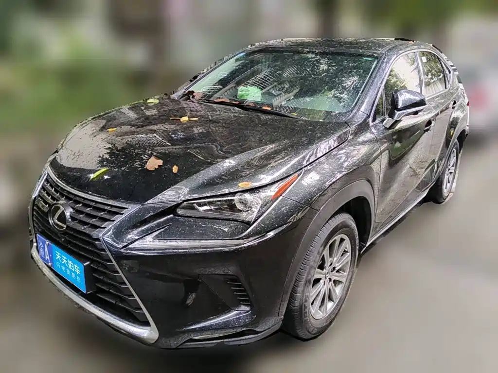 Lexus Lexus NX 2018 Model 200 FWD Fengxing Edition China V