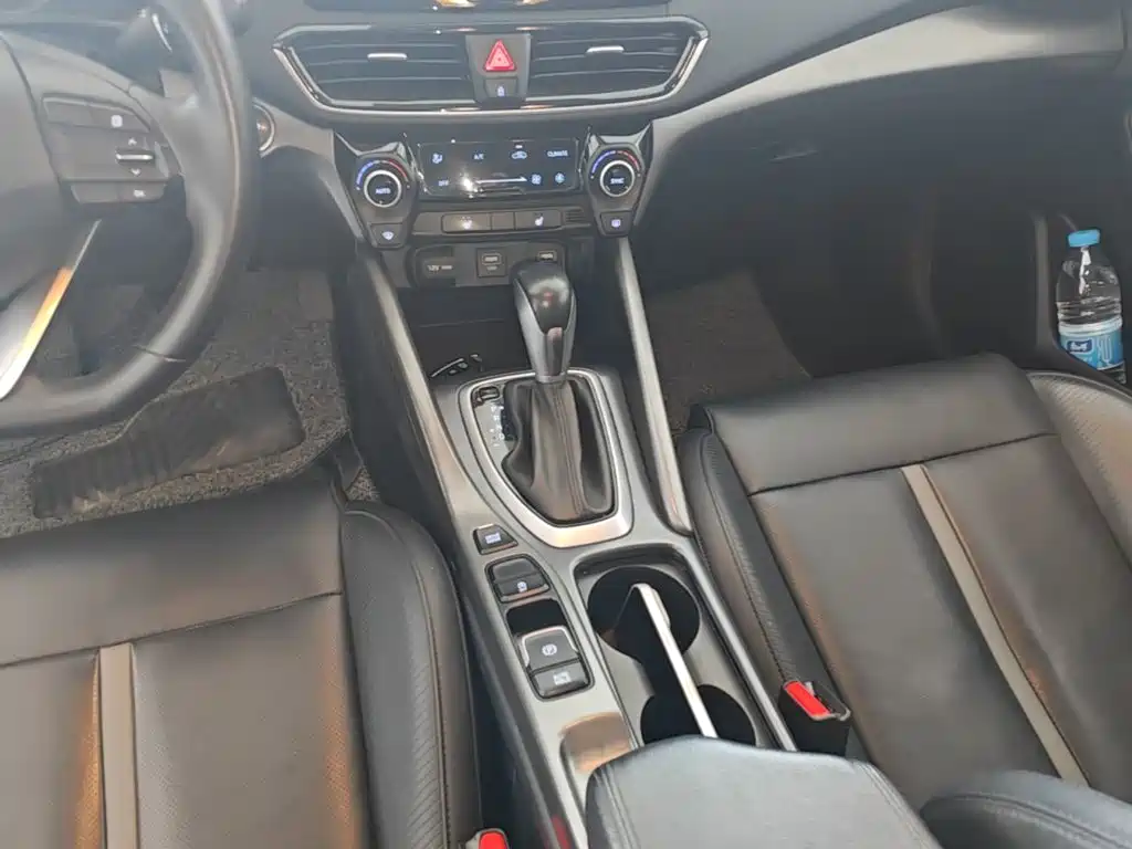 Photo 14 - Hyundai Lafesta