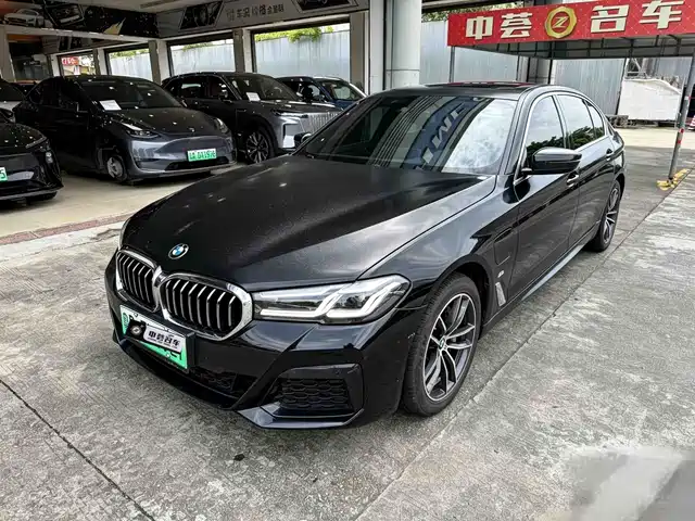 BMW 5 Series New Energy 2021