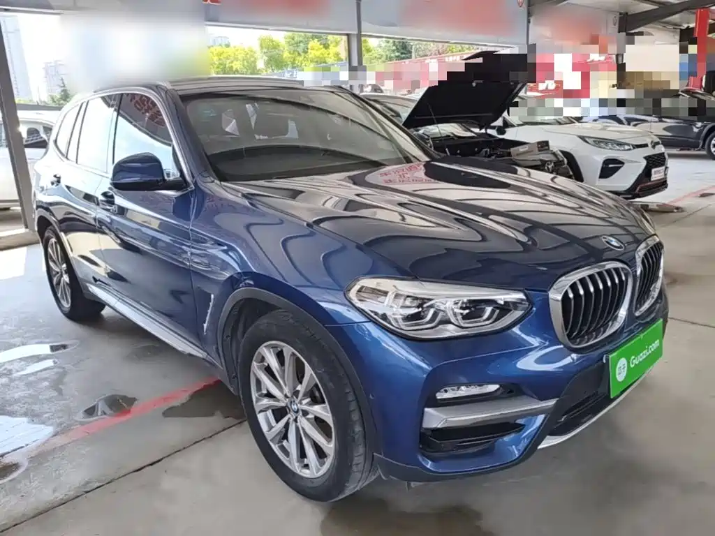 BMW X3 2018 2018 xDrive25i Luxury Package China V