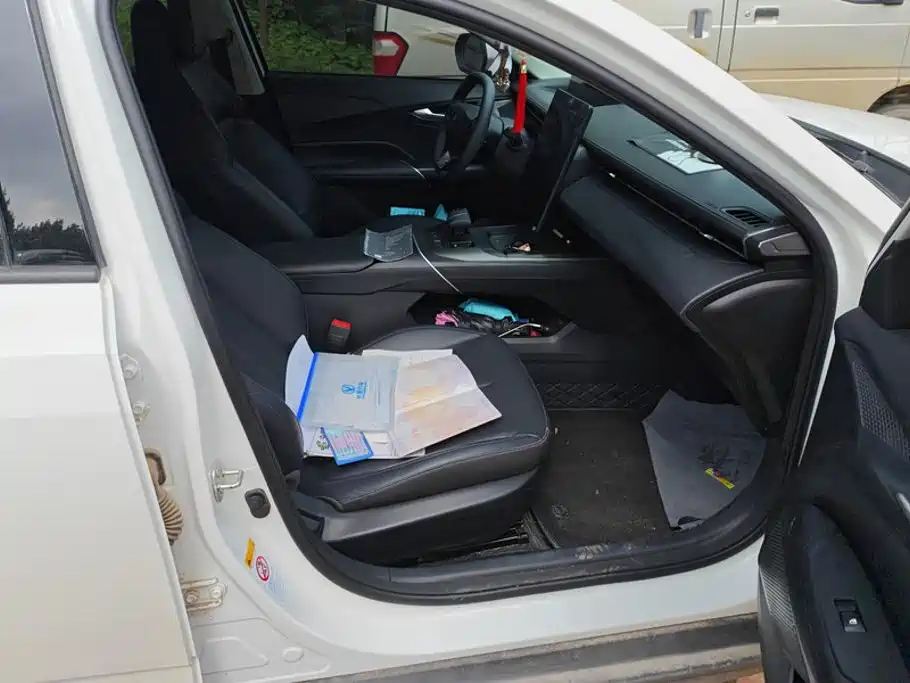 Photo 8 - Changan Eado