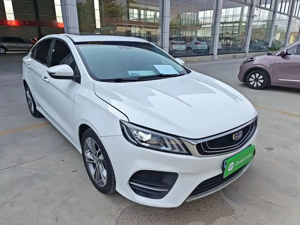 Фото 4 - Geely Binrui