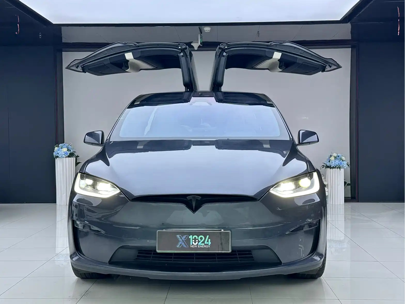 Фото 2 - Tesla Model X