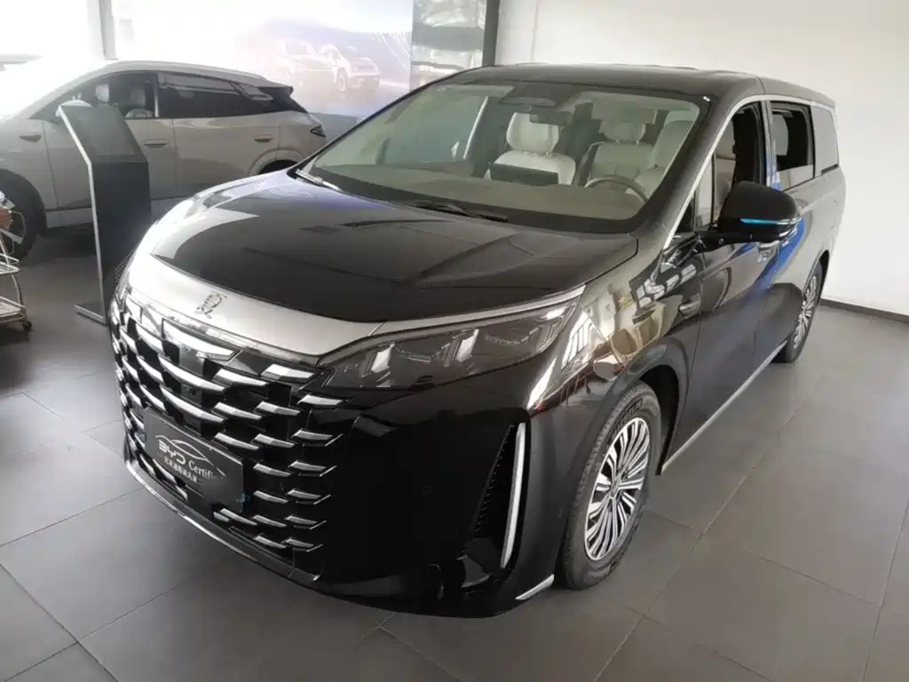 Photo 2 - BYD Xia