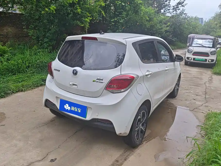 Changan Benben E-Star 2021 2022 Appreciation Edition Colorful LFP