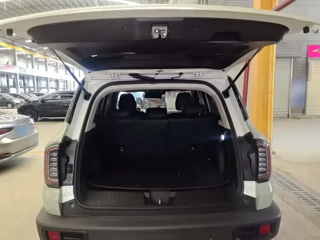 Photo 19 - Haval Big Dog