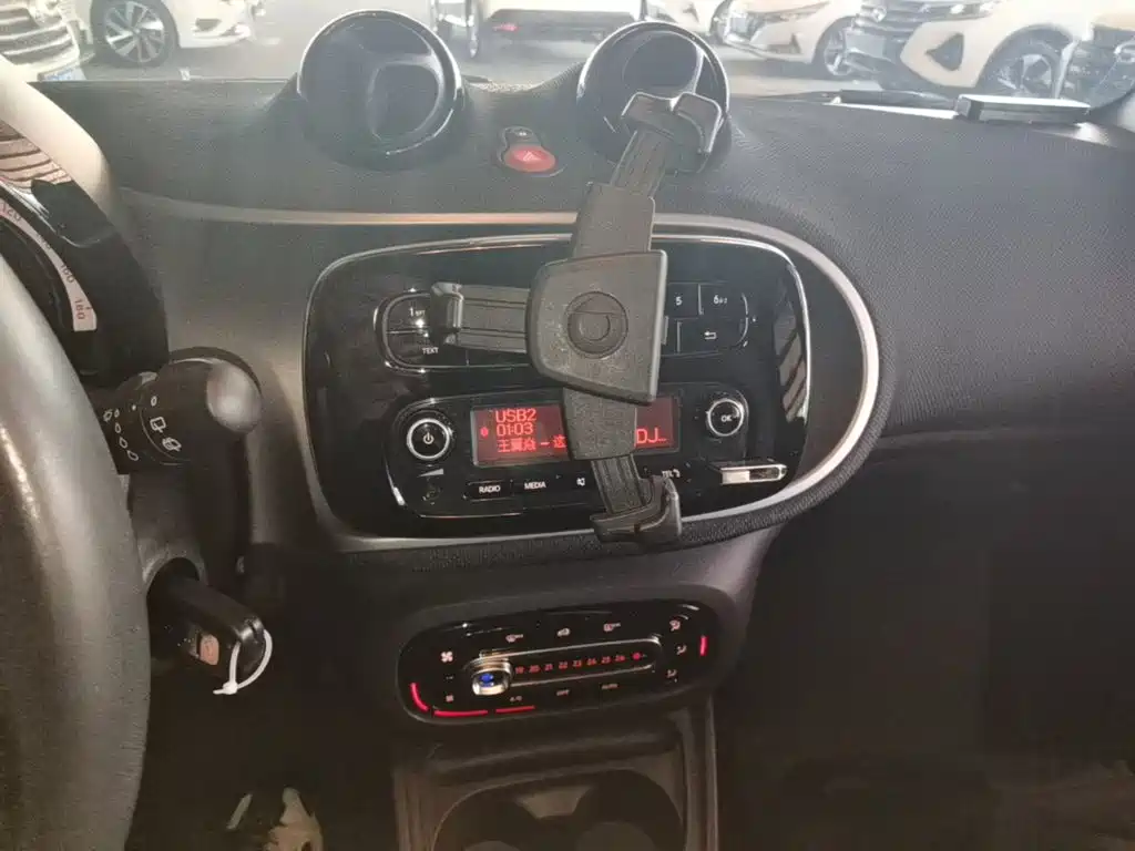 smart fortwo 2019 2018 1.0L 52kW Hardtop Passion Edition China V