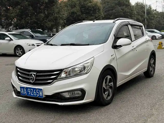 BAOJUN 310
