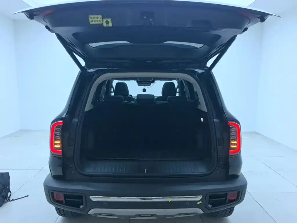 Haval Dargo 2021 2021 2.0T DCT 4WD Chinese Rural Dog Edition