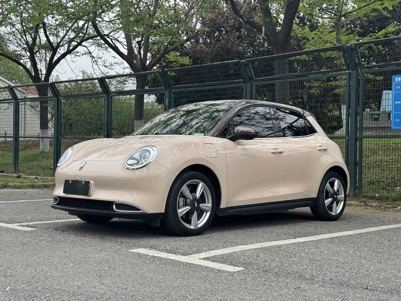 Ora Ora Good Cat 2021 400km Standard Range Venus Edition (LFP)
