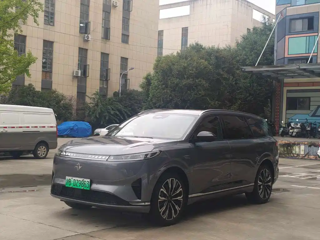 2025 Dongfeng Yipai eπ008