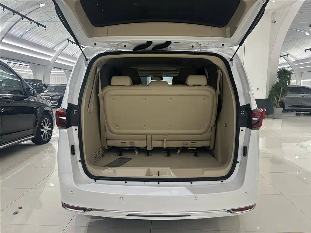Buick GL8 2023 Land Business Class 652T Luxury фото 20